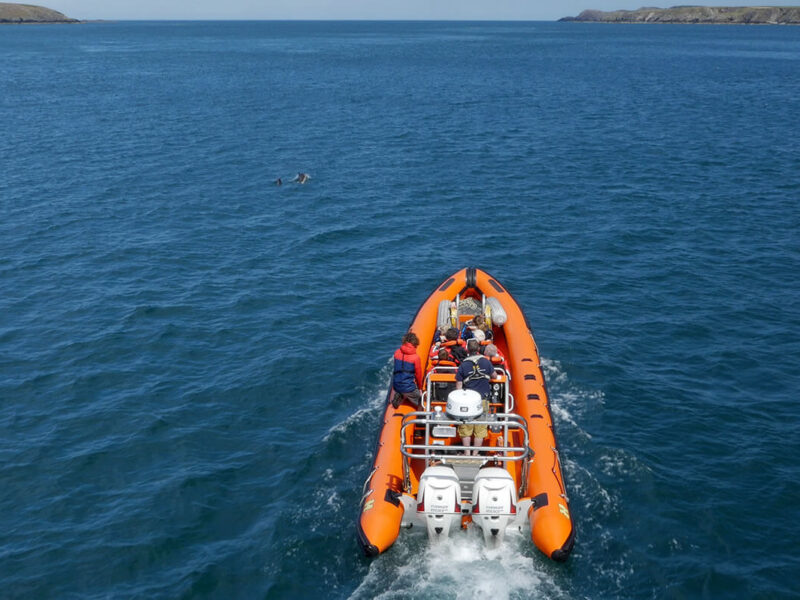 Rib boat from astern.