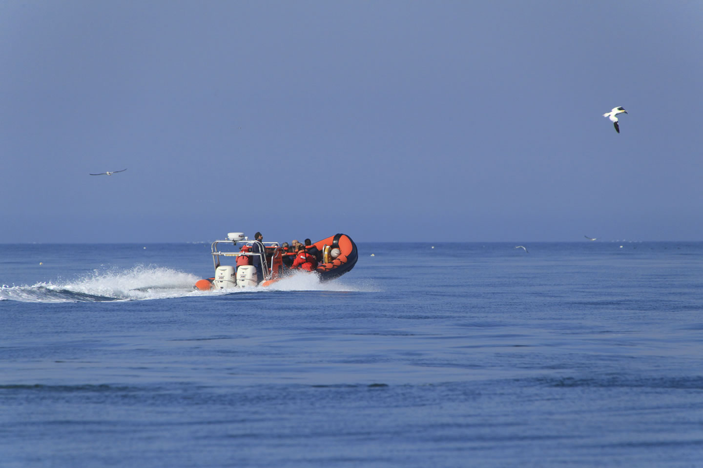 Skippered charter.